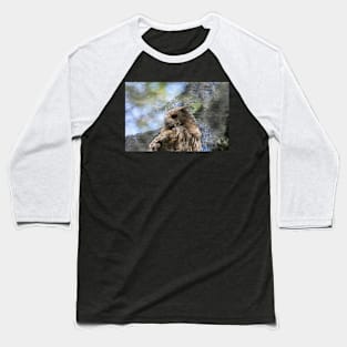 owl - portrait Baseball T-Shirt